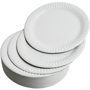Recyclable Dinnerware