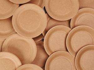 Plastic Plate Recycling