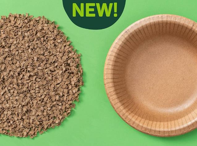 What Are The Best Eco-Friendly Disposable Bowls And Plates From Dixie?