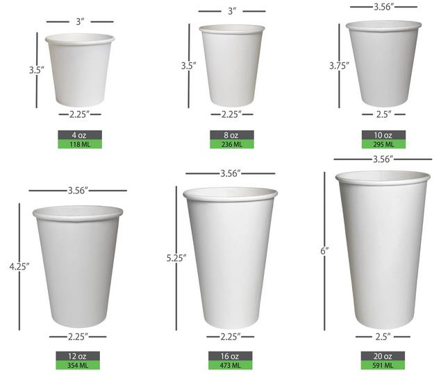 How Many Ounces in A Disposable Cup 3