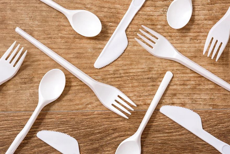 Is It Safe To Use Disposable Spoon for Soup Reddit?