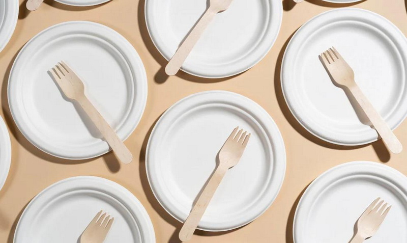 Are Paperplates Considered Disposable Tableware?