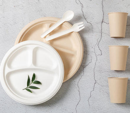 Poland Eco Friendly Plate Suppliers