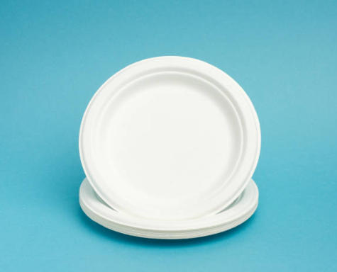 Top Paper Plate Manufacturers And Suppliers in Vietnam.jpg
