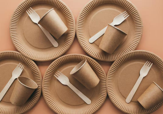 Top Paper Plate Manufacturers And Suppliers in Japan.jpg