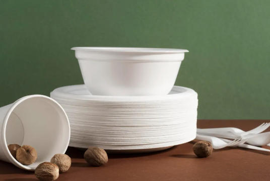 Top Disposable Tableware Manufacturers And Suppliers in Arabia