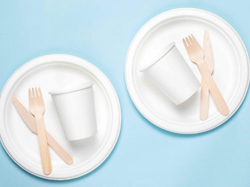 Food Grade Disposable Tableware Suppliers In Portugal