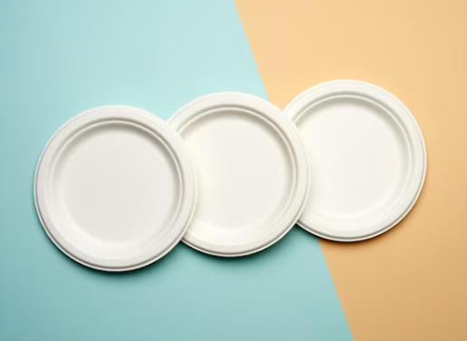 Top Paper Dish Manufacturers And Suppliers in Italy