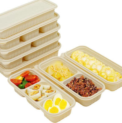 Single Use Food Container Suppliers Single Use Food Container Suppliers