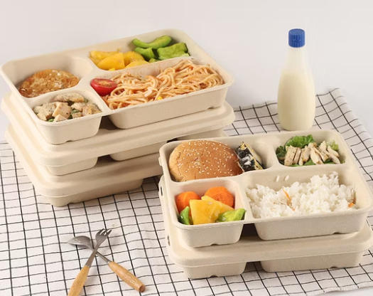 Single Use Food Container Suppliers Single Use Food Container Suppliers