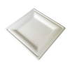10 Inch Square Plate