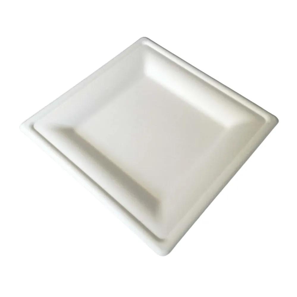10 Inch Square Plate