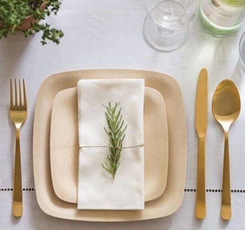 disposable plate set_1