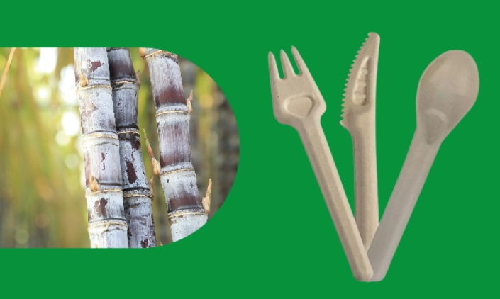 Disposable Cutlery_19