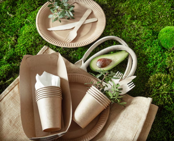Disposable Tableware_2