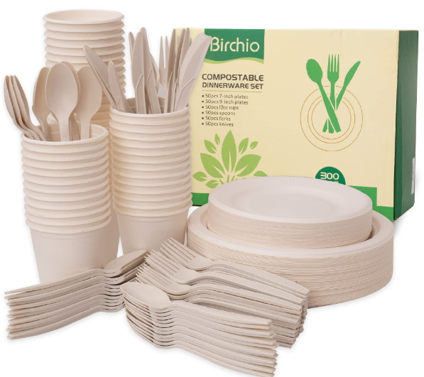 How Eco-Friendly Are Disposable Plate And Spoon Sets?