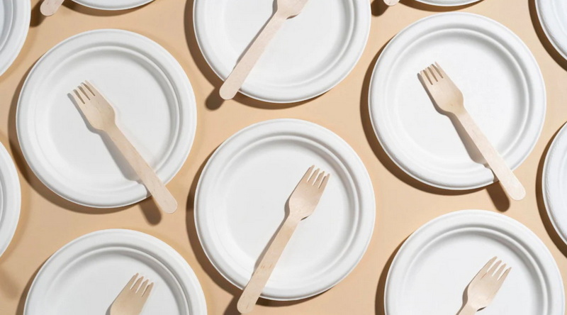 How Do I Choose The Right Size for Disposable Paper Plates?