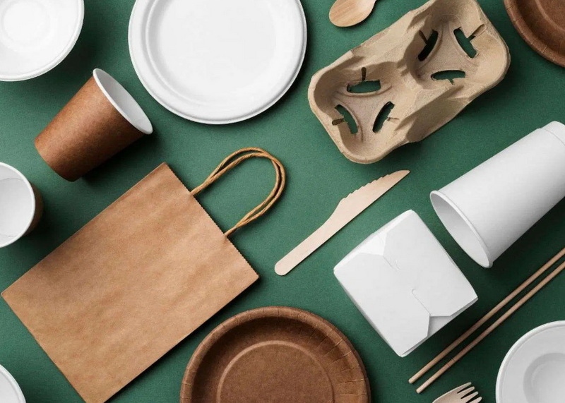 Disposable Tableware_2
