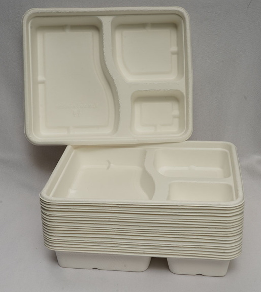 Disposable Plate_9