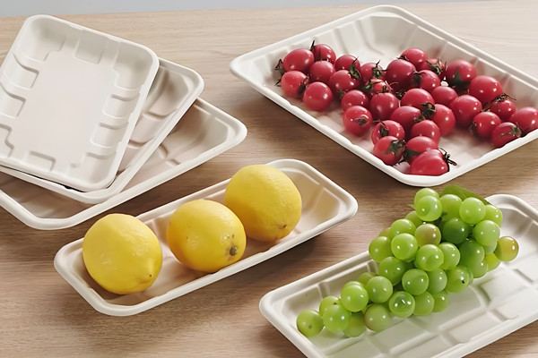 What Is The Best Disposable Cookie Tray with Lid for Parties?