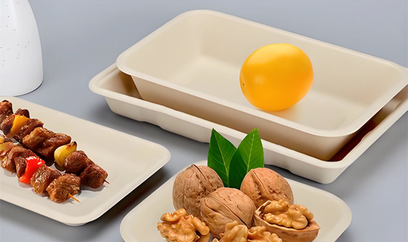 disposable plates wholesale