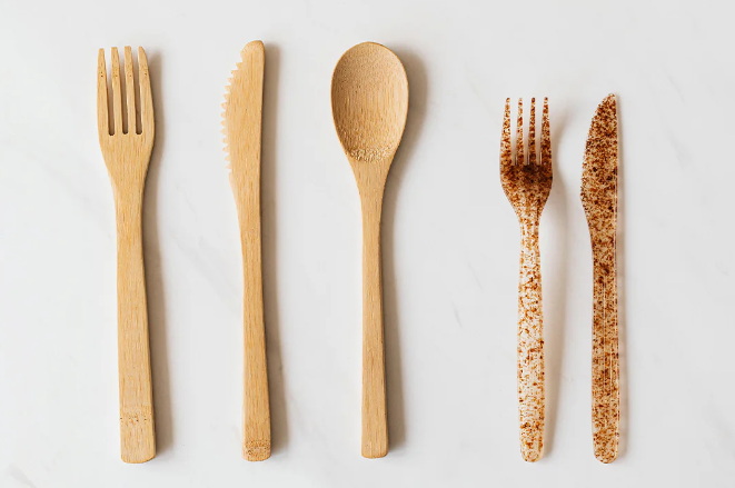 Wooden Disposable Plates_1