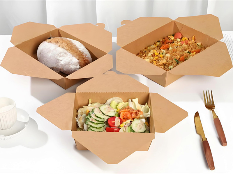 disposable lunch box