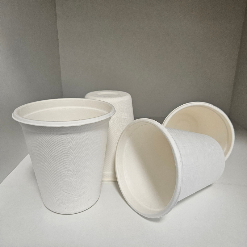 12oz water cup without lid