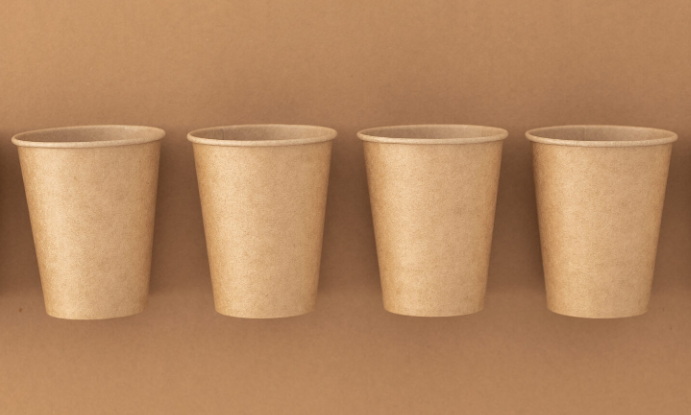 Disposable Cups_22