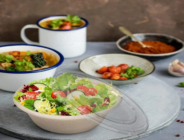 Disposable Salad Bowls_1