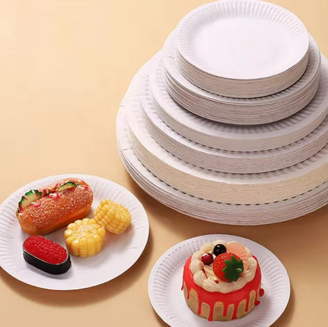 Paper Plate Exporters Netherlands Paper Plate Exporters Netherlands