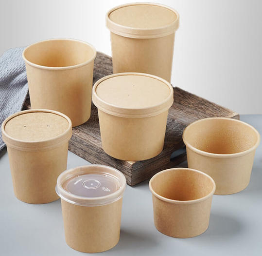 Biodegradable Paper Bowl Suppliers Poland