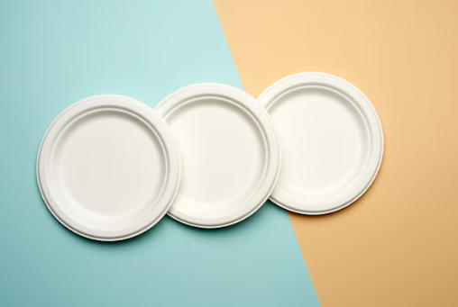 Top Paper Plate Manufacturers And Suppliers in Germany