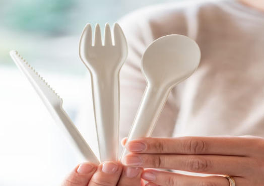 Top Disposable Cutlery Manufacturers And Suppliers in Hungary Top Disposable Cutlery Manufacturers And Suppliers in Hungary