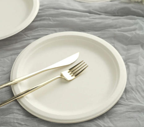 Disposable Catering Tableware Manufacturers In Kazakhstan