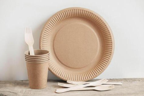 Eco Friendly Paper Dish Manufacturers