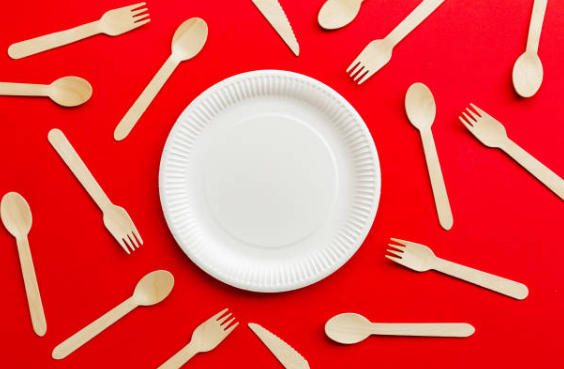 Biodegradable Paper Dishes France