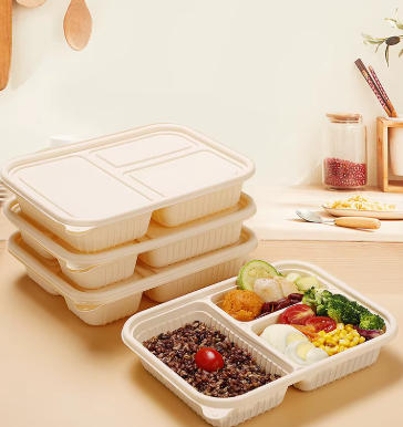 Disposable Food Packaging Japan Disposable Food Packaging Japan