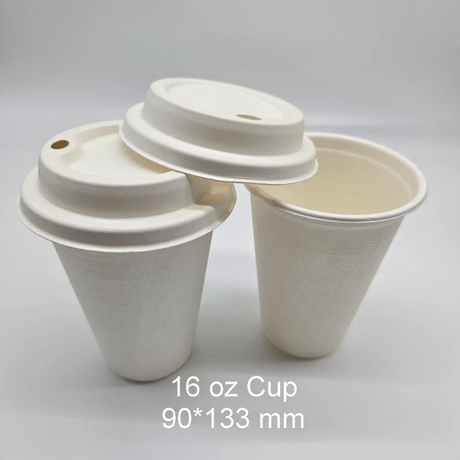 16oz Cup And Lid