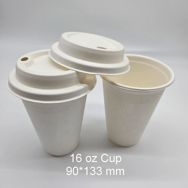 16oz Cup And Lid