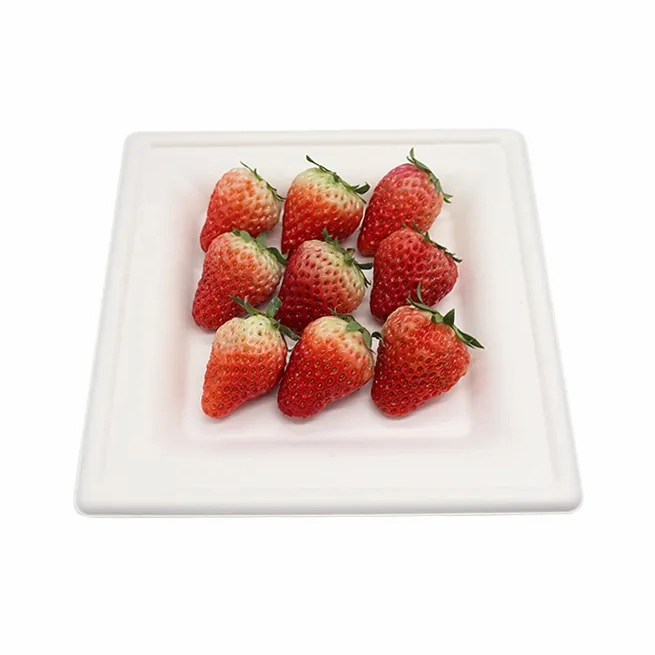 8 Inch Square Plate