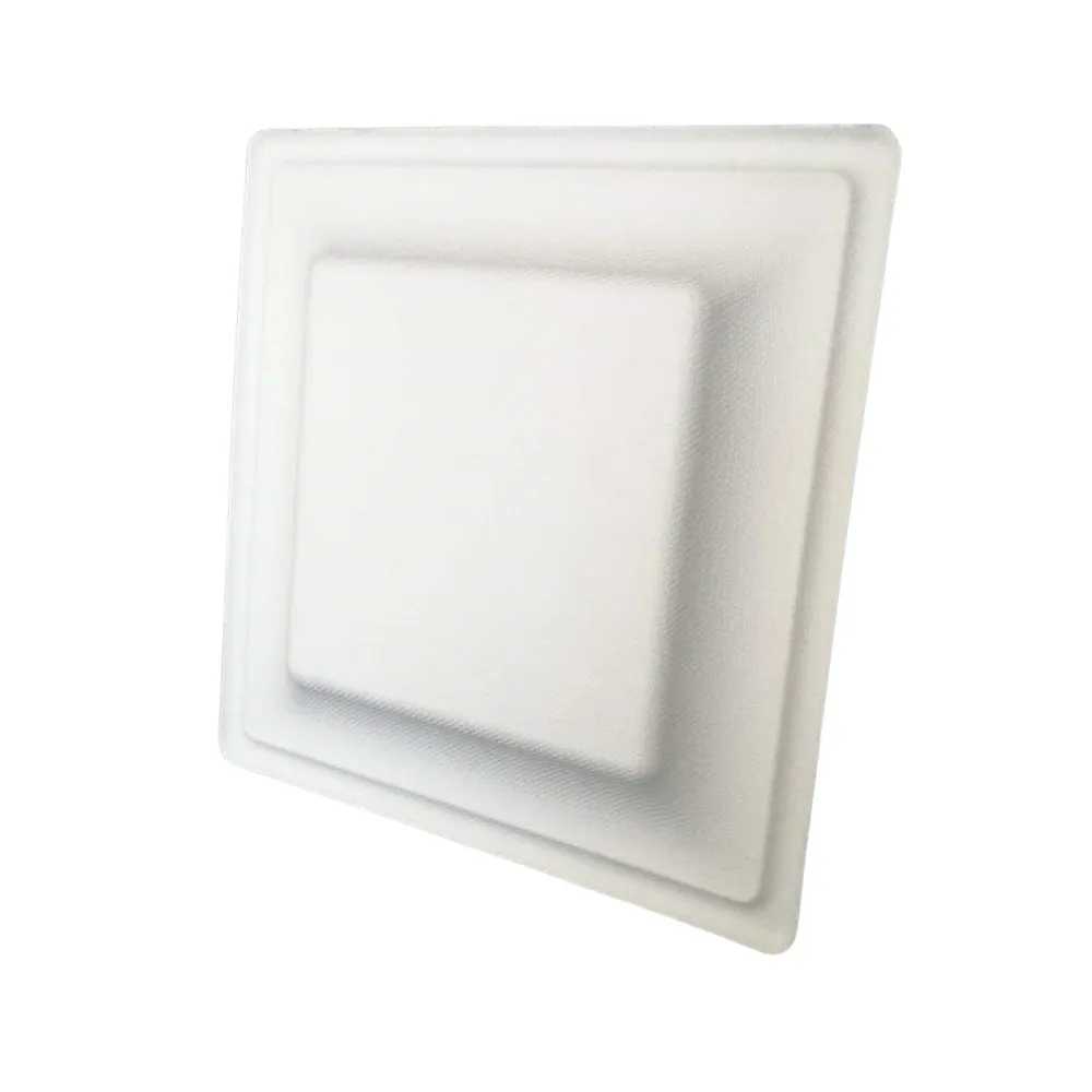 10 Inch Square Plate