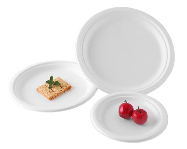 7 Inch Round Plate