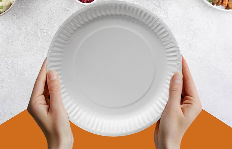How Do You Choose The Right Disposable Plate Size for Your Event?
