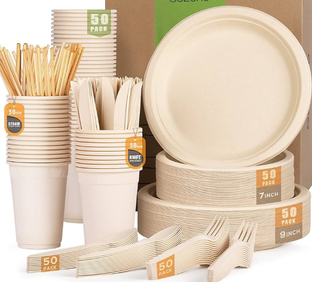 Disposable Plate And Spoon Sets_1