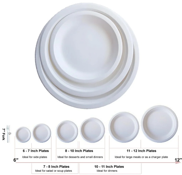 Disposable Plate Size_3