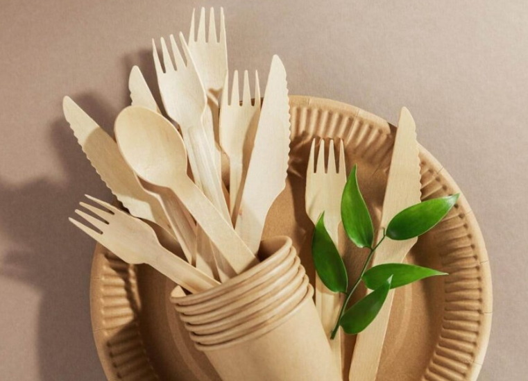 Disposable Cutlery Sets_1
