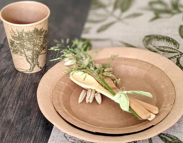 How To Choose The Right Disposable Tableware Vendor for Your Event?