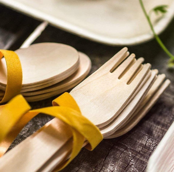 Disposable Tableware_1