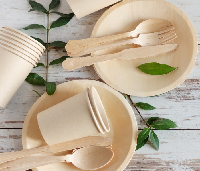 Disposable Tableware_1